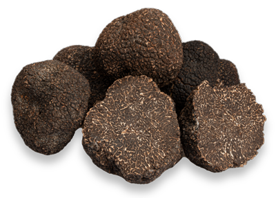tartufo